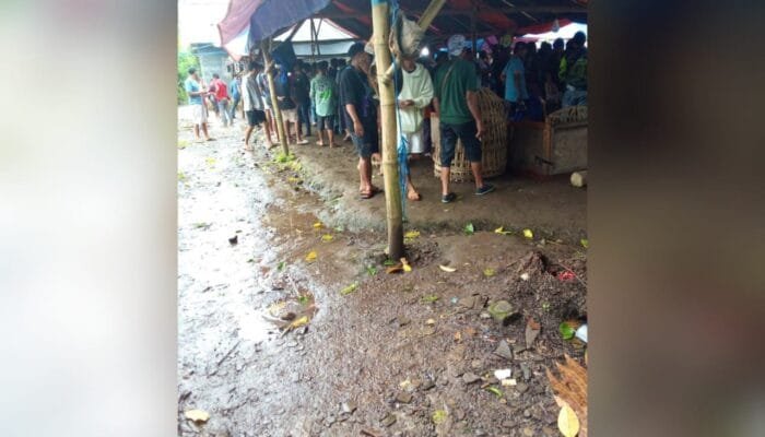 Isu Judi Sabung Ayam  Sambirejo Banyuwangi, Penegakan Hukum Diuji