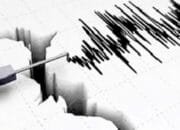 Indonesia Diguncang Gempa Beruntun: Simak Data Terbarunya