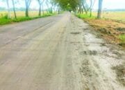 Keluhan Lama Warga Bojonegoro: Jalan Licin Bekas Combine Picu Kecelakaan di Lengkong Balen