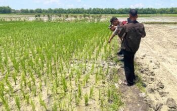 Petani di Bojonegoro Tiba-Tiba Tewas Saat Memupuk Sawah, Ini Dugaan Penyebabnya