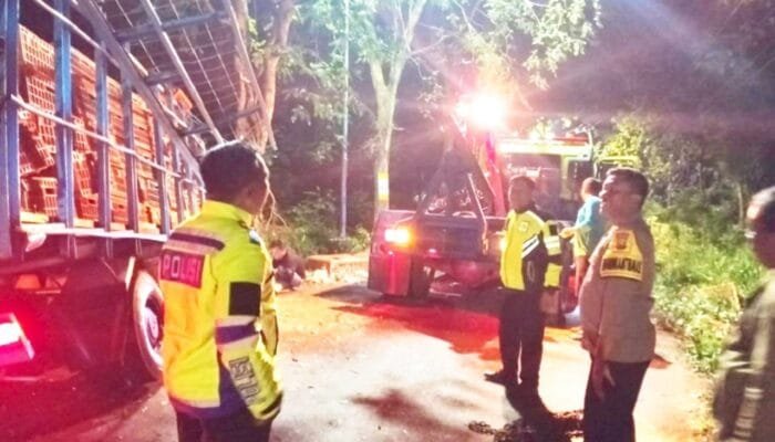 Truk Isuzu Nabrak Pohon di Bubulan Bojonegoro, Ini Penyebabnya