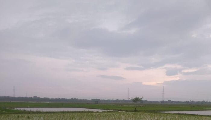 Cuaca Bojonegoro Hari Ini: Pagi Cerah Berawan, Siang Hujan