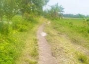 Bertahun-tahun Rusak, Jalan Penghubung Antar Desa di Baureno Bojonegoro Tak Kunjung, Diperbaiki