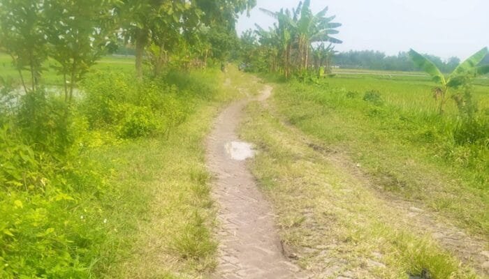 Bertahun-tahun Rusak, Jalan Penghubung Antar Desa di Baureno Bojonegoro Tak Kunjung, Diperbaiki
