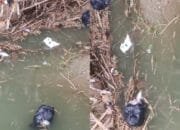 Bojonegoro Darurat Limbah, Dapur Gizi SPPG Brangkal 3 Kepohbaru Diduga Jadikan Sungai Tempat Sampah