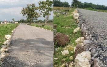 InCollage 20260307 152553717 copy 1280x719