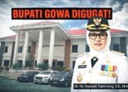 Muncul di Pengadilan, Kasus yang Libatkan Bupati Gowa Husniah Talenrang