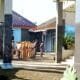 IMG 20260413 WA0031