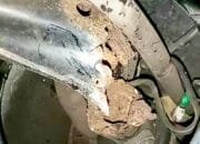 Kasus Motor Keropos di Bojonegoro Viral, Konsumen Soroti Aturan Servis Honda