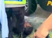 Gudang Selep di Kanor Bojonegoro Dibobol, Dua Pelaku Asal Tuban Tertangkap