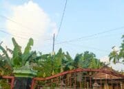 Cuaca Bojonegoro: Panas Siang Hari Malam Berawan