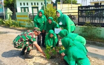 Gerakan Penghijauan di Pucuk Lamongan, Pohon Sawo Jadi Simbol Kepedulian Lingkungan