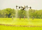 Swasembada Pangan Makin Dekat, Drone Permudah Kerja Petani