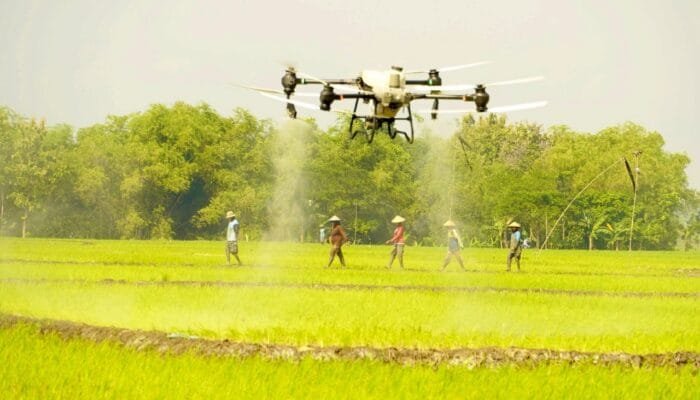 Swasembada Pangan Makin Dekat, Drone Permudah Kerja Petani
