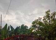 Kelembapan Tinggi Picu Hujan di Bojonegoro Hari Ini