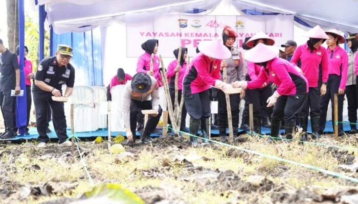 Ketahanan Pangan Digenjot, Hutan di Bojonegoro Mulai Ditanami Jagung dan Ketela
