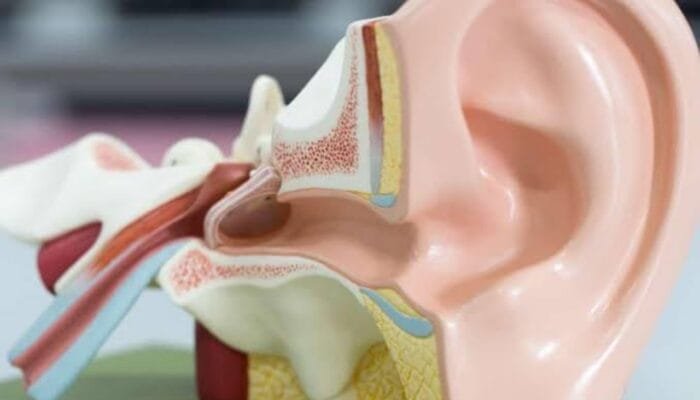 Sering Pakai Headset, Waspada, Ini Batas Aman Agar Tak Kehilangan Pendengaran