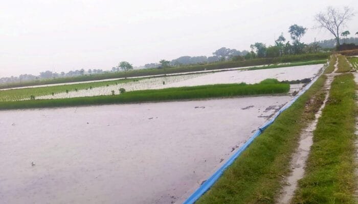 Langit Bojonegoro Hari Ini Didominasi Awan, Siang Berpotensi Hujan