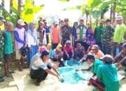 Petani dan TNI Kompak, Gerdal Tikus Serentak di Deketagung Sugio Lamongan