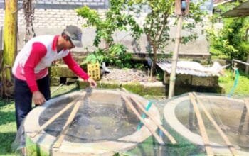 Panen Ketiga, Bantuan KOLEGA Bojonegoro Dongkrak Ekonomi dan Gizi Keluarga