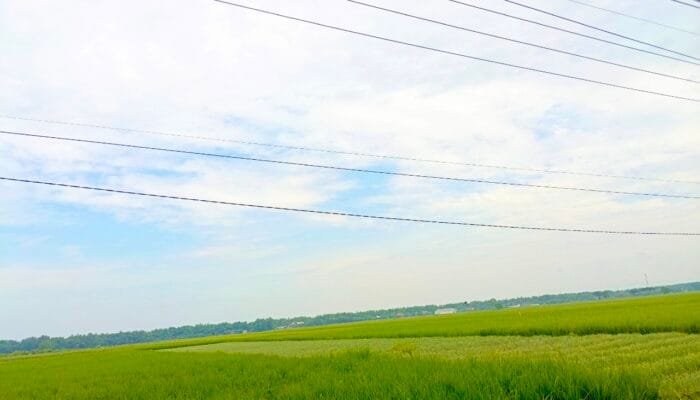 Prakiraan Cuaca Bojonegoro 30 April: Berawan Lembap Tanpa Cuaca Ekstrem