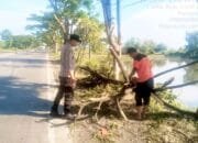 Pohon Tumbang Tutup Jalur Lamongan–Gresik, Polisi dan Warga Bergerak Cepat