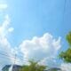 IMG 20260507 WA0012