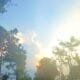 IMG 20260513 WA0019