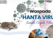 Warga Bojonegoro Diminta Waspada Hantavirus, Penyakit Mematikan dari Tikus