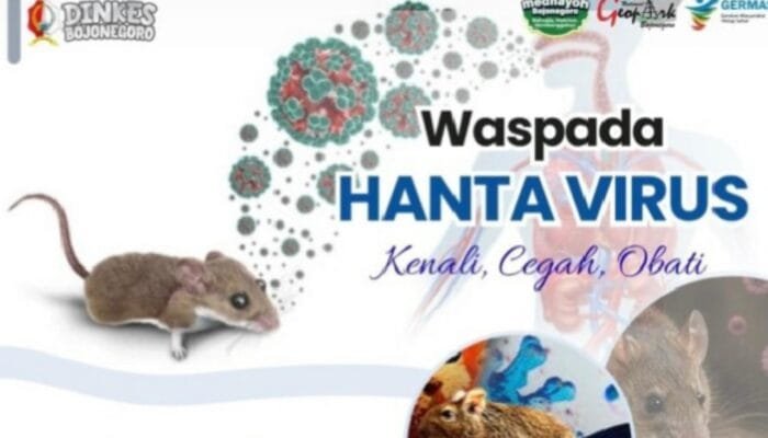 Warga Bojonegoro Diminta Waspada Hantavirus, Penyakit Mematikan dari Tikus