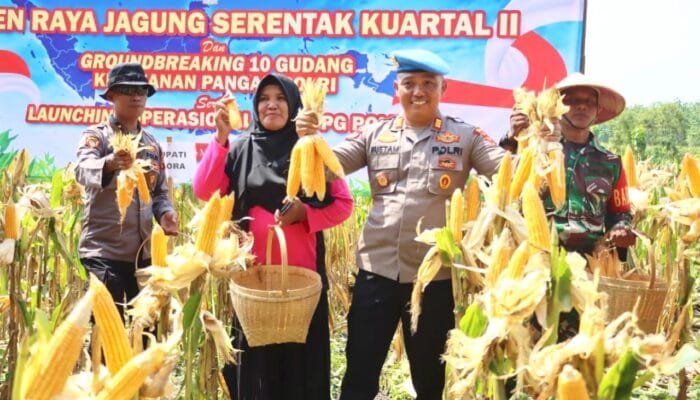 Polri Bangun Gudang Pangan dan SPPG, Panen Raya Jagung di Blora Jadi Sorotan