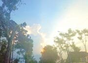 Update Cuaca Bojonegoro Senin Ini, Pagi Berawan Siang Cerah