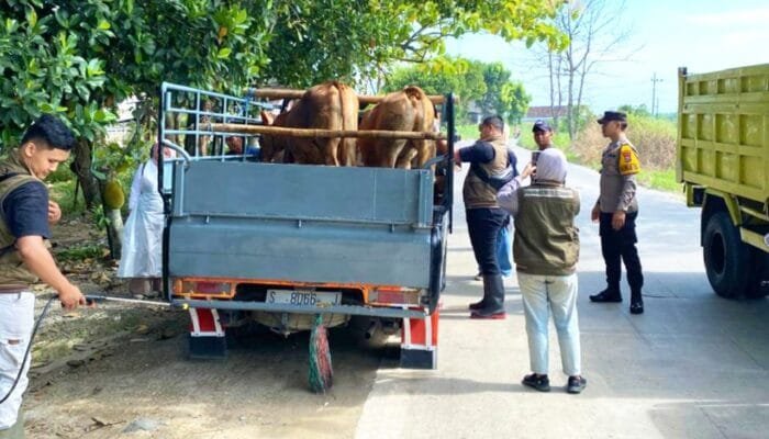 Cegah PMK dan LSD, Petugas Periksa Ternak di Perbatasan Jombang-Lamongan