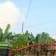 IMG 20260519 WA0013