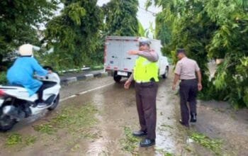 Truk Tangki Ringsek Usai Tabrak Pohon di Babat Lamongan, Sopir Selamat