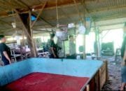 Ironi Pemberantasan Judi, Arena Sabung Ayam di Lamongan Disebut Tetap Hidup
