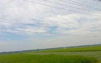 IMG 20260525 WA0003