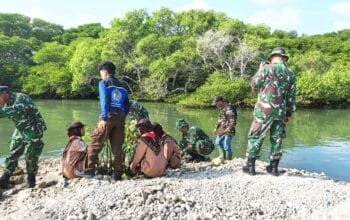 Ratusan Peserta Turun ke Pantai, Kodim Lamongan Tanam Mangrove Bersama Warga