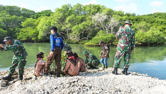 Ratusan Peserta Turun ke Pantai, Kodim Lamongan Tanam Mangrove Bersama Warga