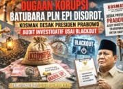 Blackout 6 Provinsi Sumatera, Dugaan Skandal Batubara PLN EPI Mengemuka