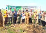 Babinsa Solokuro Lamongan Bersama Warga dan Perhutani Tanam Alpukat hingga Sengon