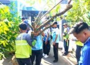 Pohon Pule Ditanam di Pesarean Kanjeng Soemantri Bojonegoro, Ini Tujuannya