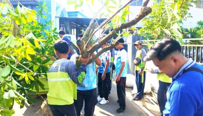 Pohon Pule Ditanam di Pesarean Kanjeng Soemantri Bojonegoro, Ini Tujuannya
