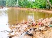 Dugaan Pencemaran Teluk Buli Halmahera Timur, WALHI hingga Akademisi Desak Audit Menyeluruh Aktivitas PT FHT
