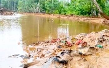Dugaan Pencemaran Teluk Buli Halmahera Timur, WALHI hingga Akademisi Desak Audit Menyeluruh Aktivitas PT FHT