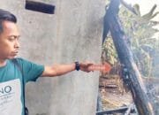Diduga Konsleting Listrik, Kerugian Kebakaran di Blora Capai Ratusan Juta