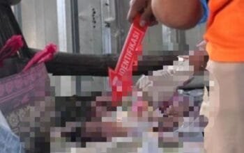 Bayi Baru Lahir Ditinggalkan di Warung Tuban, Warga Rengel Dibuat Syok