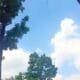 IMG 20260611 WA0010