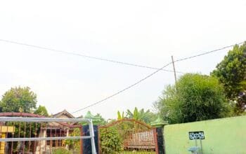 IMG 20260619 WA0002
