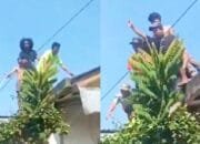 Korban Ditemukan Tanpa Busana, Kakek Terduga Pemerkosa Anak SD di Cakung Jakarta Akhirnya Ditangkap